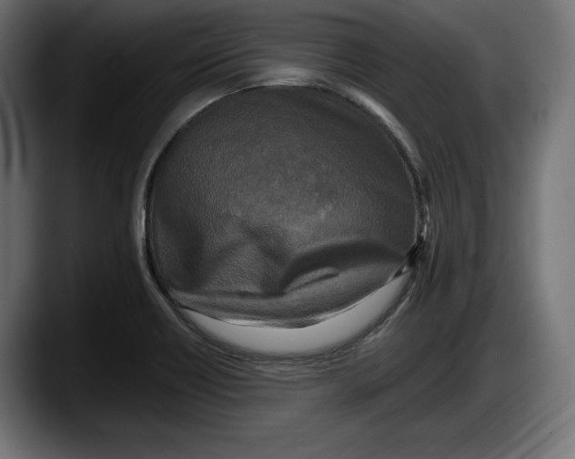 X0000087511418200705251609