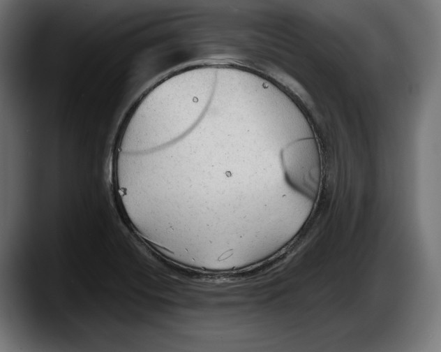 X0000087511420200705251610