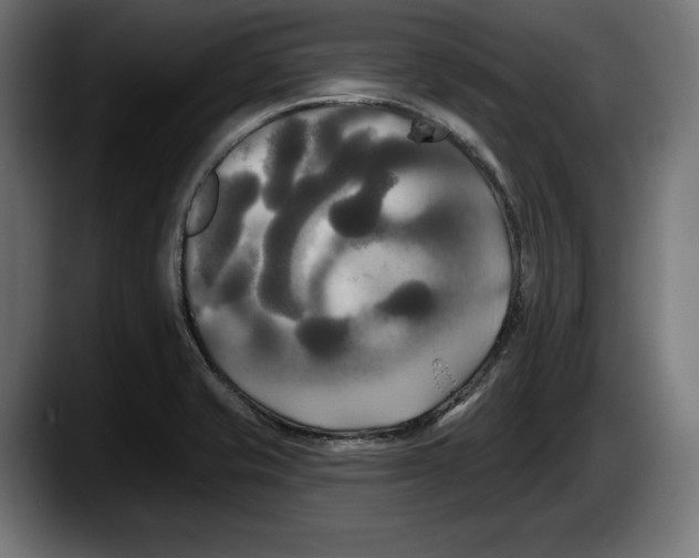 X0000087511421200705251610