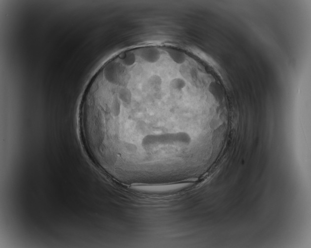 X0000087511423200705251610