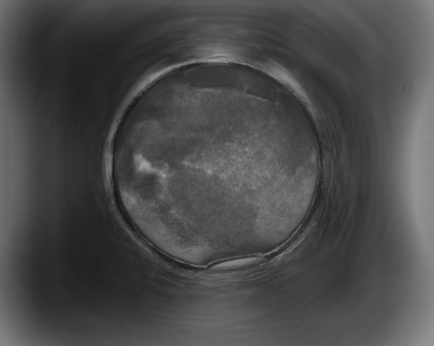 X0000087511424200705251610