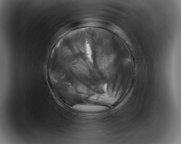 X0000087511425200705251610