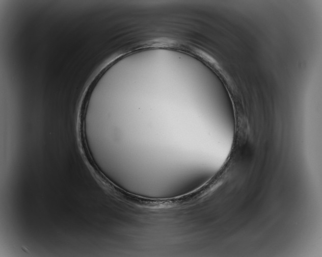 X0000087511426200705251610