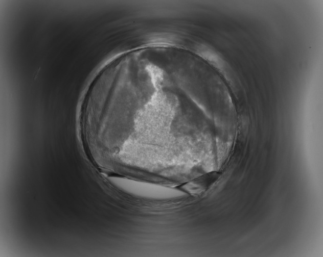 X0000087511427200705251610