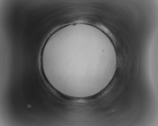 X0000087511431200705251610