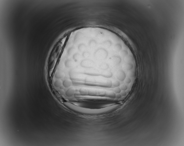 X0000087511432200705251610