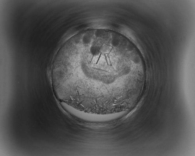 X0000087511433200705251610