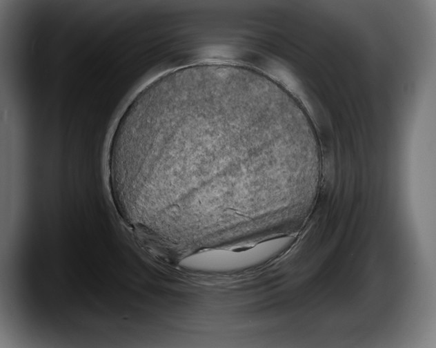 X0000087511435200705251610