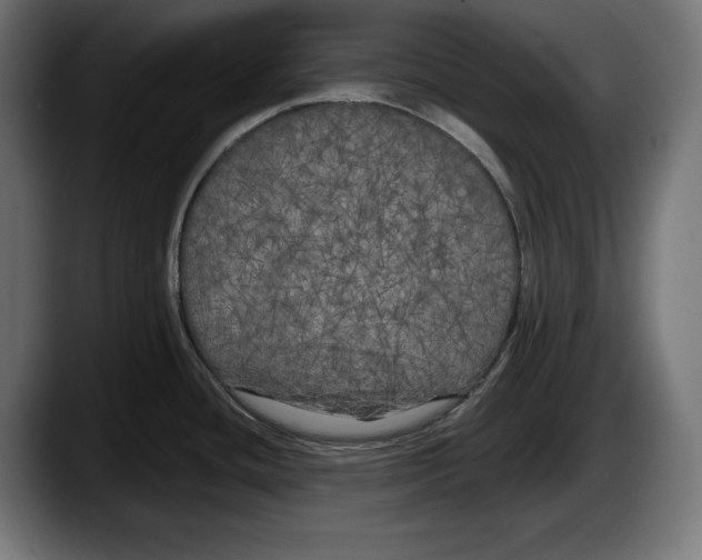 X0000087511436200705251610