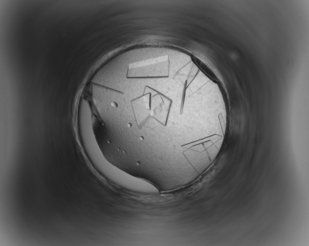 X0000087511437200705251610