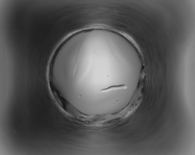 X0000087511438200705251610