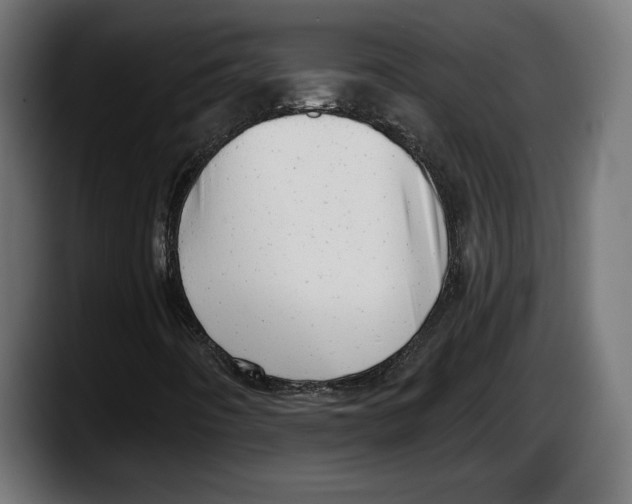 X0000087511442200705251609