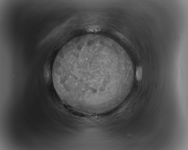 X0000087511444200705251609