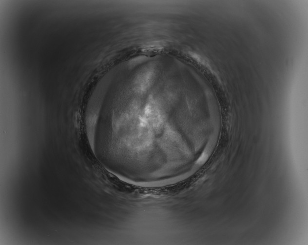 X0000087511445200705251609