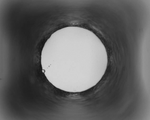 X0000087511447200705251609