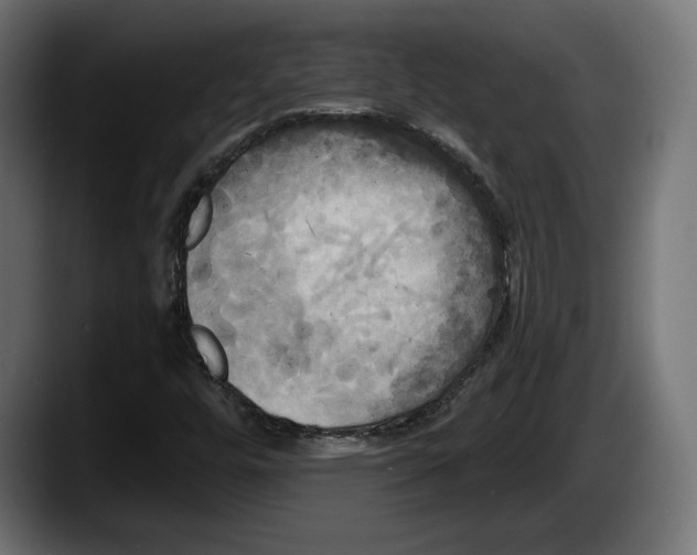 X0000087511448200705251609