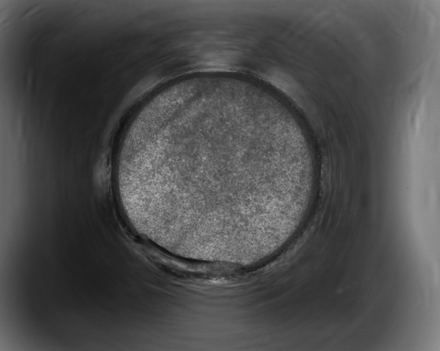 X0000087511450200705251609