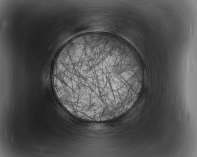 X0000087511452200705251609