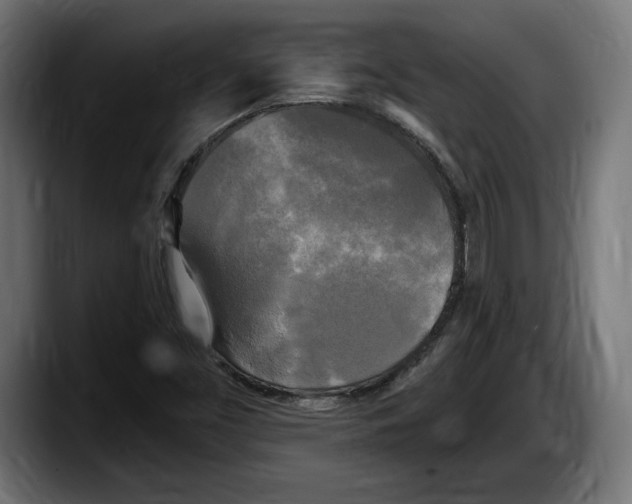 X0000087511453200705251609