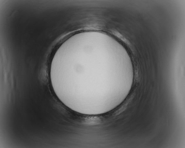 X0000087511454200705251609