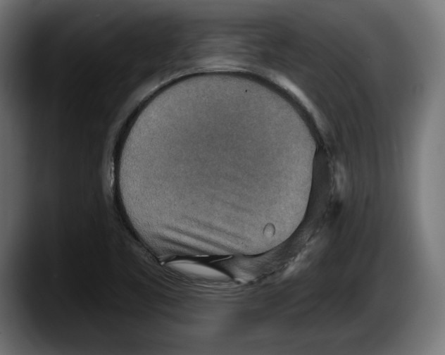 X0000087511461200705251609