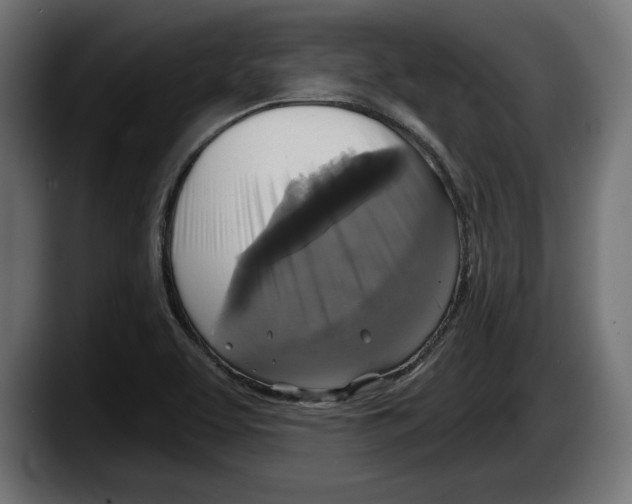 X0000087511463200705251609