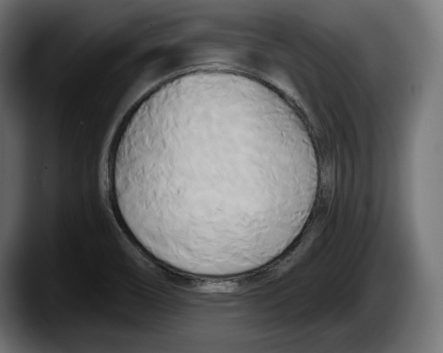 X0000087511466200705251609