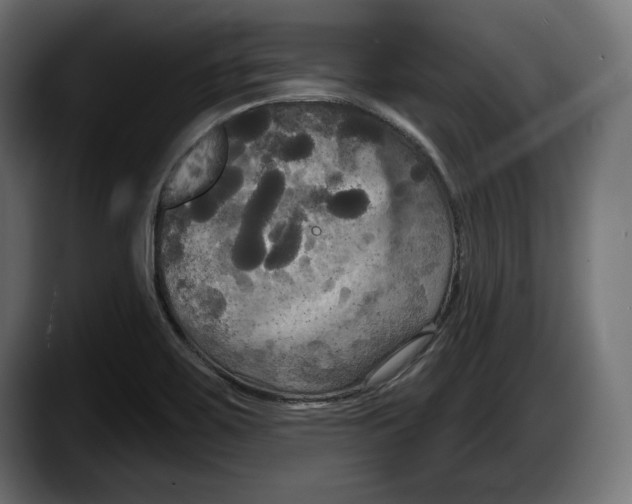 X0000087511467200705251609