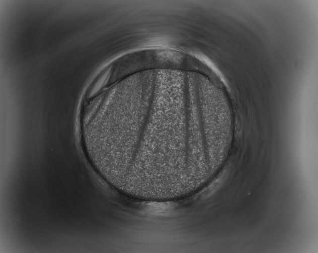 X0000087511469200705251609