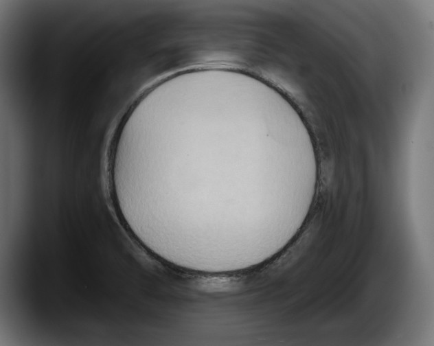 X0000087511470200705251609