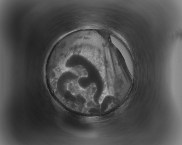 X0000087511471200705251609