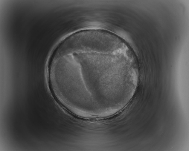 X0000087511472200705251609