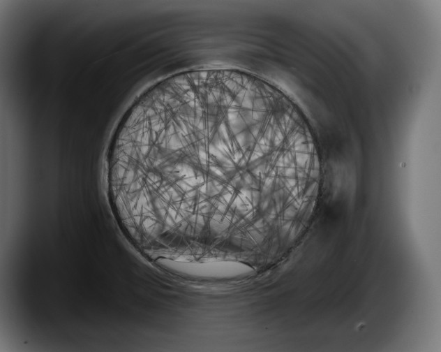 X0000087511476200705251609