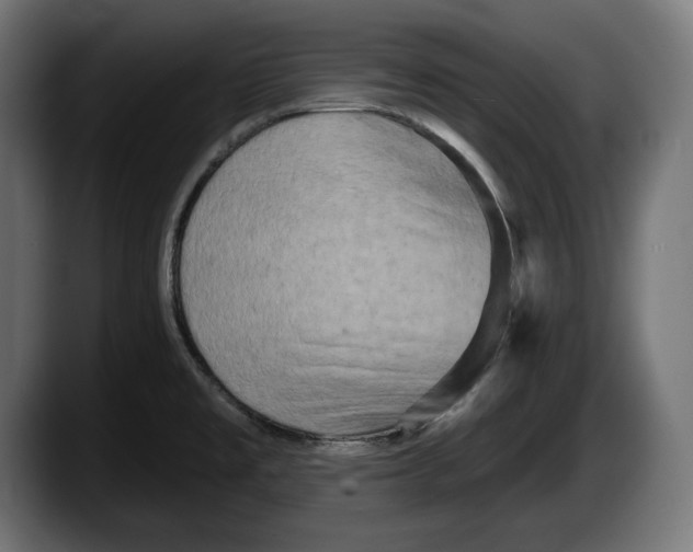 X0000087511477200705251609