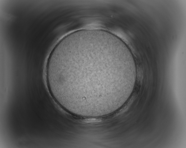 X0000087511478200705251609