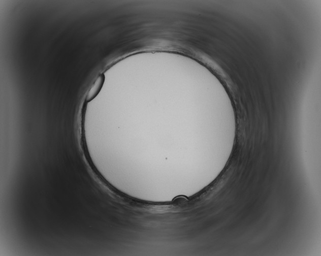 X0000087511479200705251609