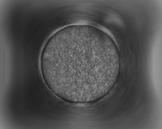 X0000087511480200705251609