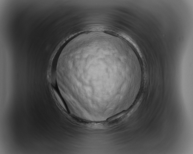 X0000087511481200705251609