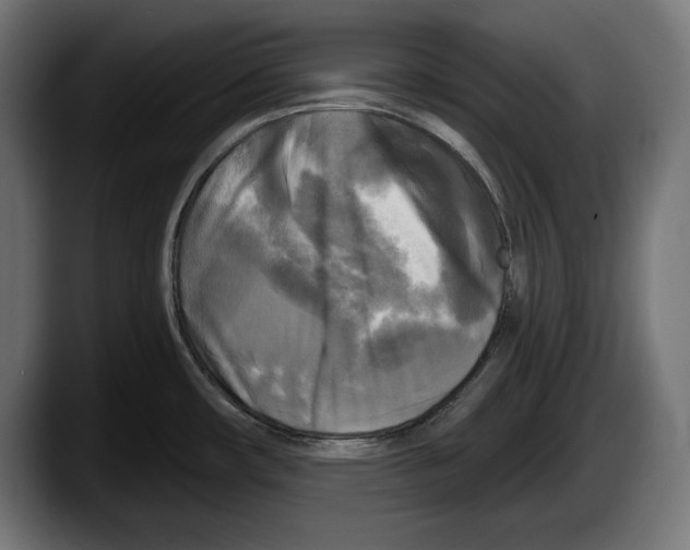 X0000087511482200705251609