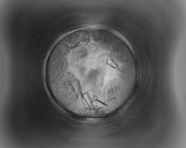 X0000087511483200705251609