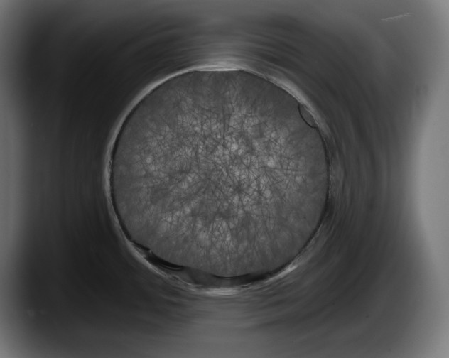 X0000087511484200705251609