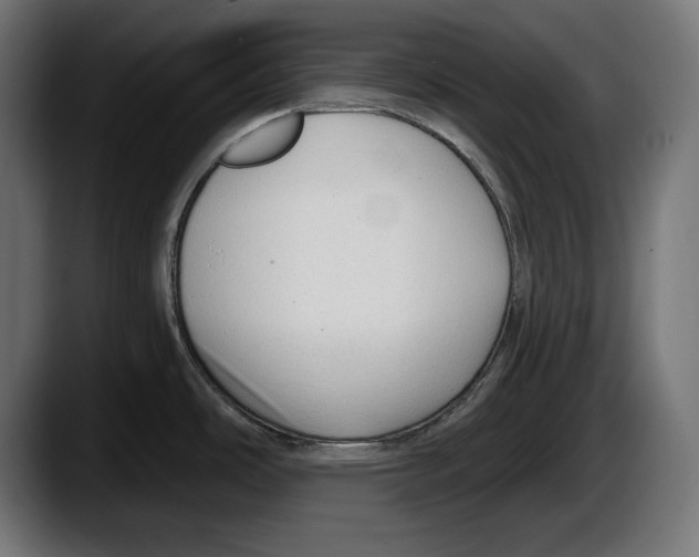 X0000087511486200705251609