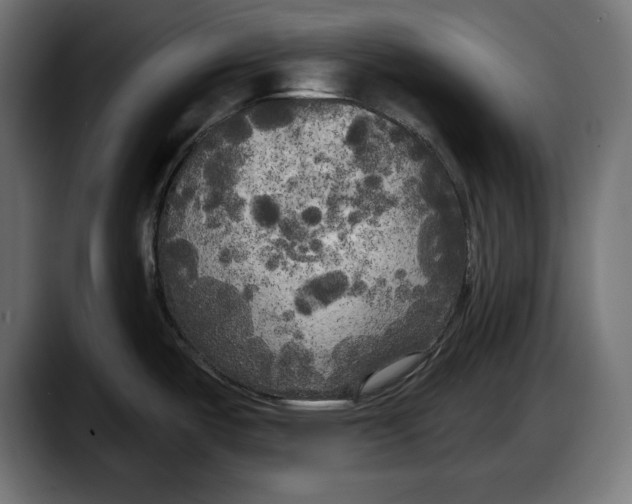 X0000087511487200705251609