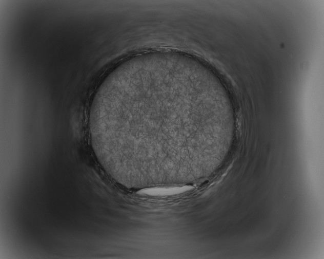 X0000087511494200705251608