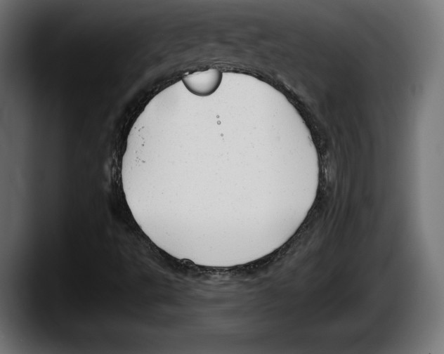 X0000087511495200705251608