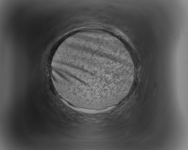 X0000087511496200705251608