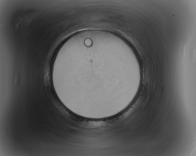 X0000087511498200705251608