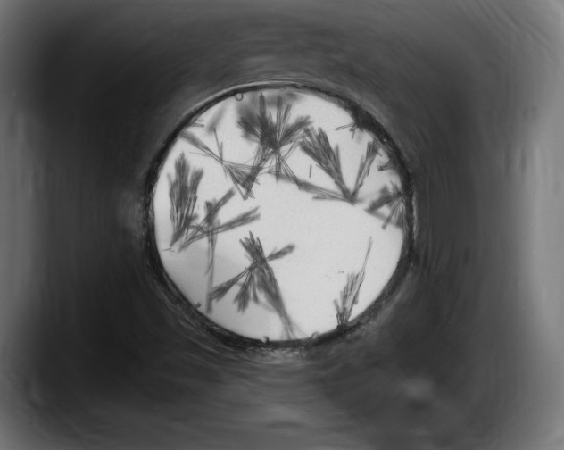 X0000087511501200705251608