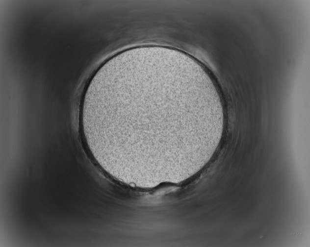 X0000087511504200705251608