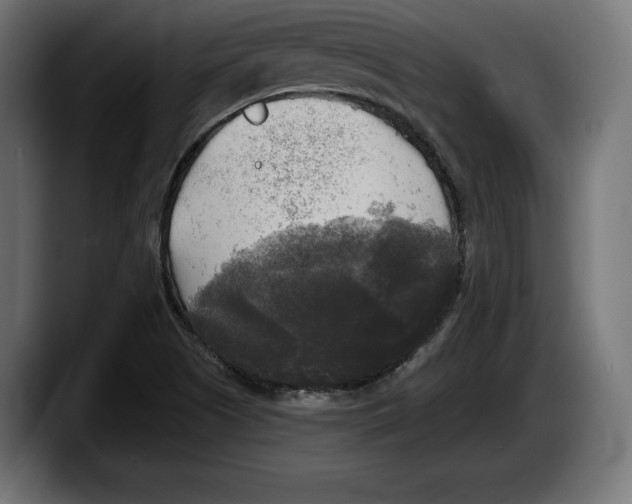 X0000087511505200705251608